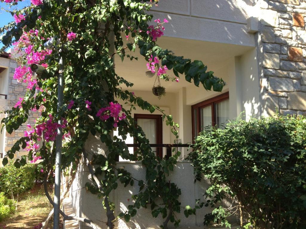 Villanaz ביטז